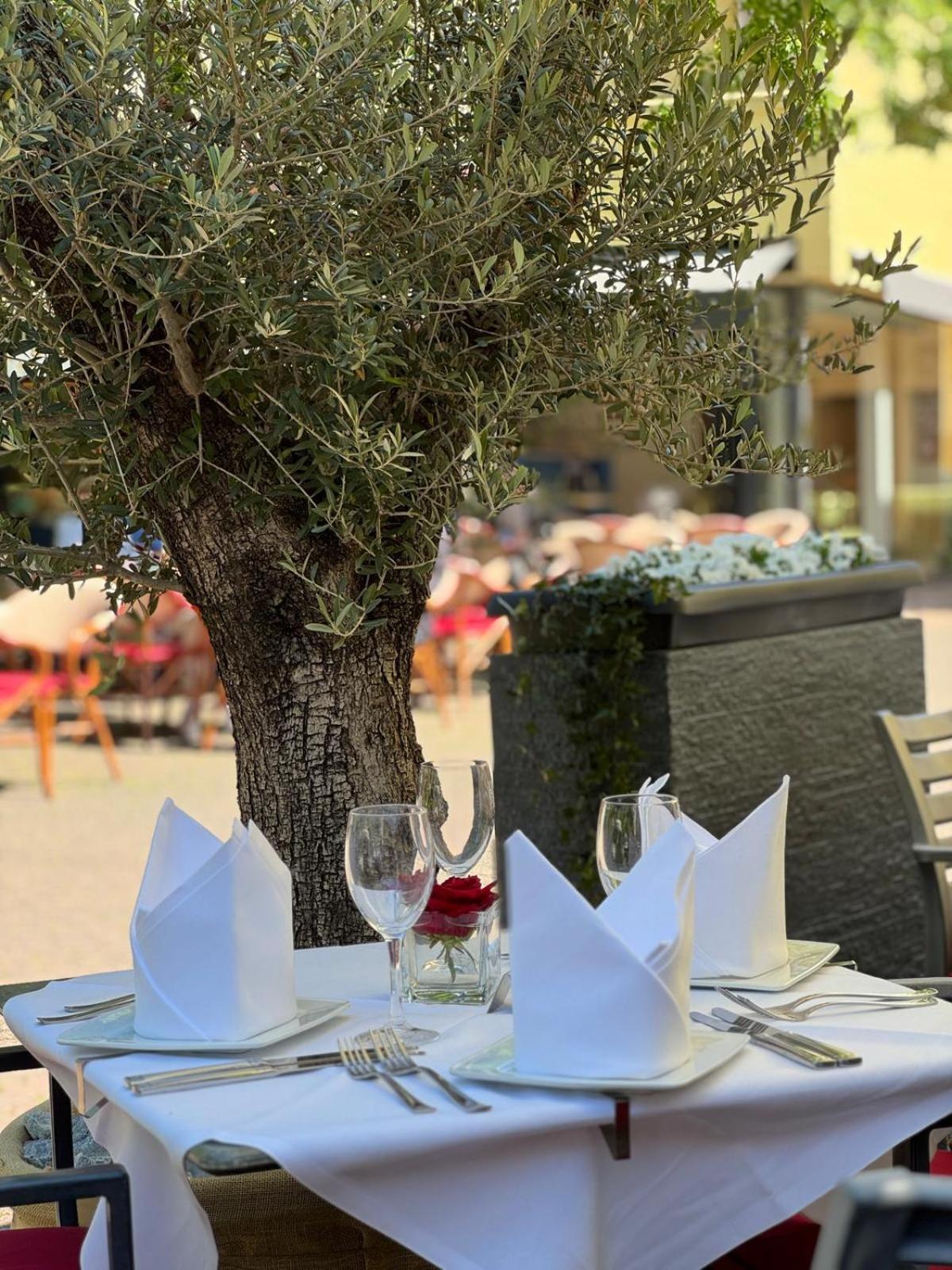 Hotel Restaurant Altes Badhaus Eberbach (Rhein-Neckar-Kreis)